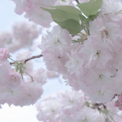 兽设配色实用搭配指南福瑞交流群